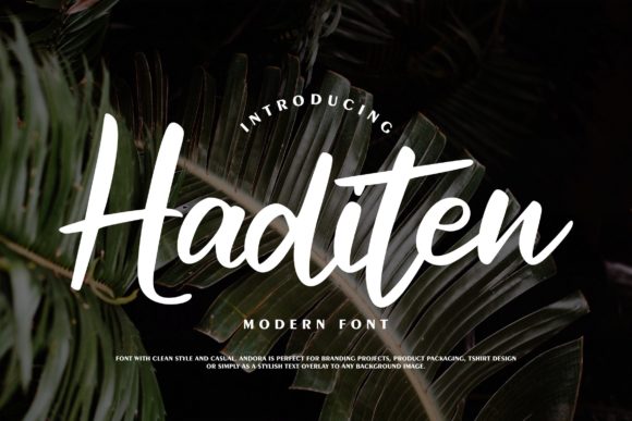 Haditen Script: The Versatile Script Font for Modern Brands