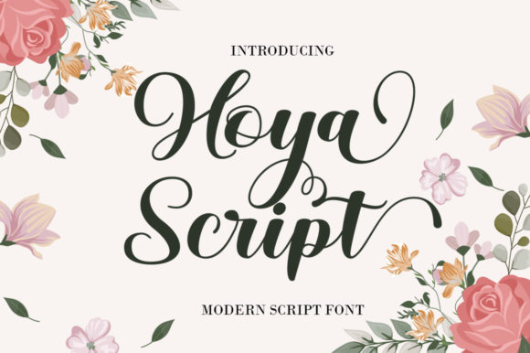 Hoya Script: The Handwritten Font for Modern Designers